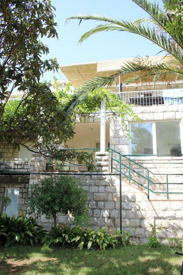Ida 2 Dubrovník
